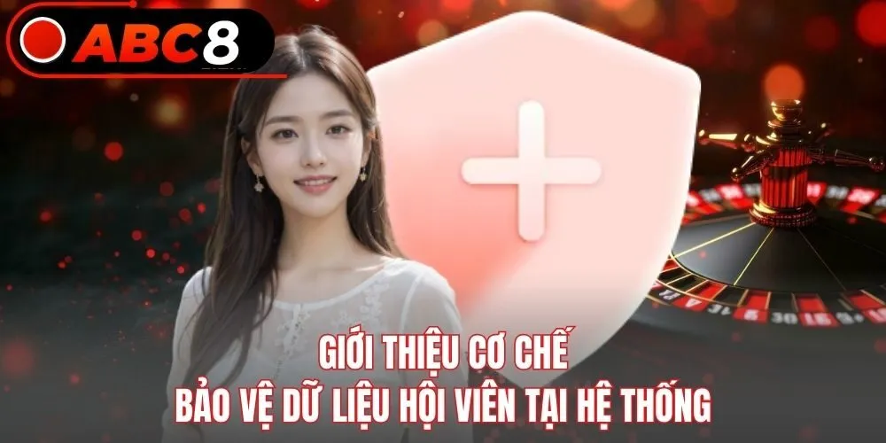 Giới thiệu cơ chế bảo vệ dữ liệu hội viên tại hệ thống