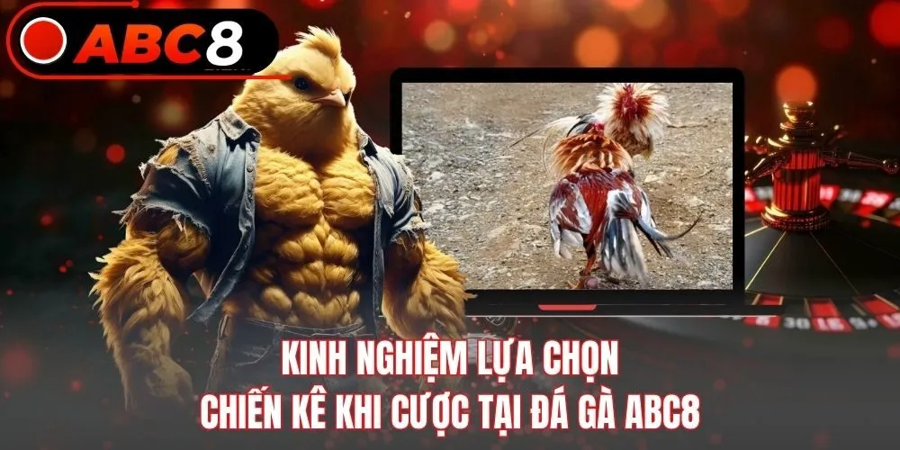Kinh nghiệm lựa chọn chiến kê khi cược tại đá gà ABC8
