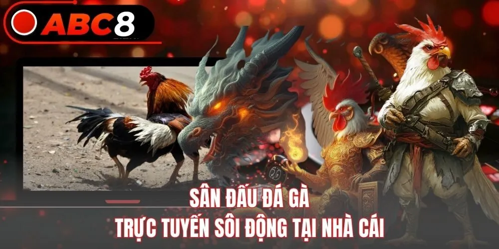 Sân đấu đá gà trực tuyến sôi động tại nhà cái